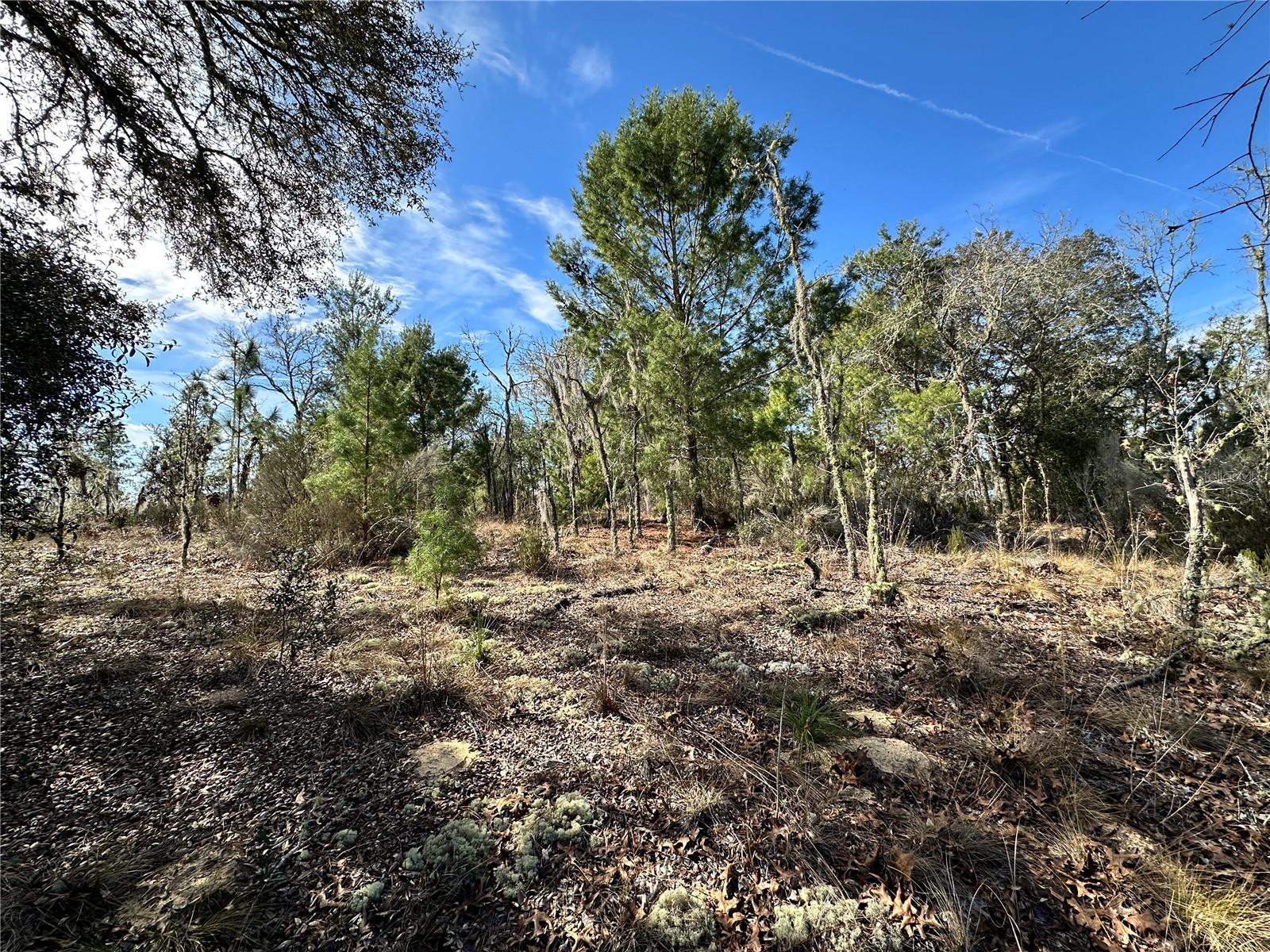 Tbd Ne 16th Ln Property Photo 5