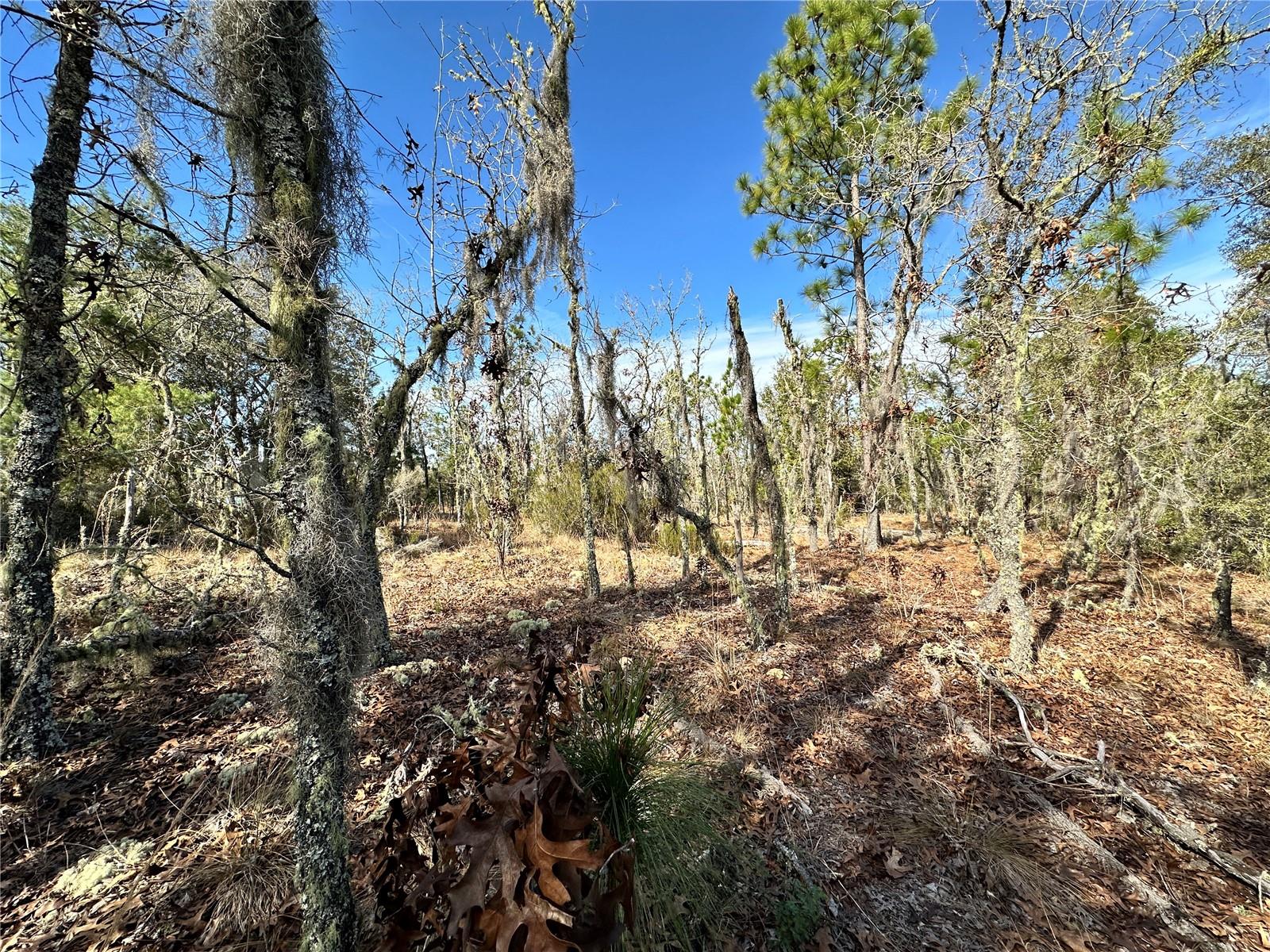 Tbd Ne 16th Ln Property Photo 6