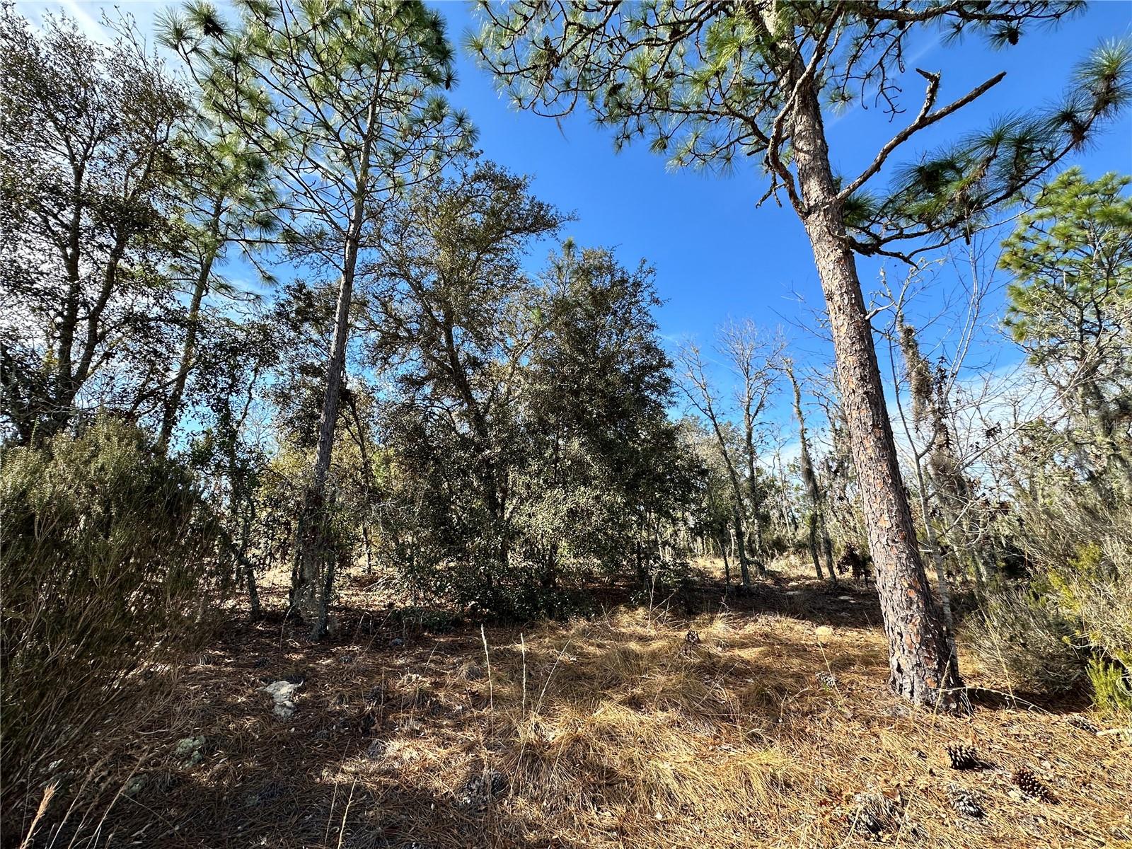 Tbd Ne 16th Ln Property Photo 9