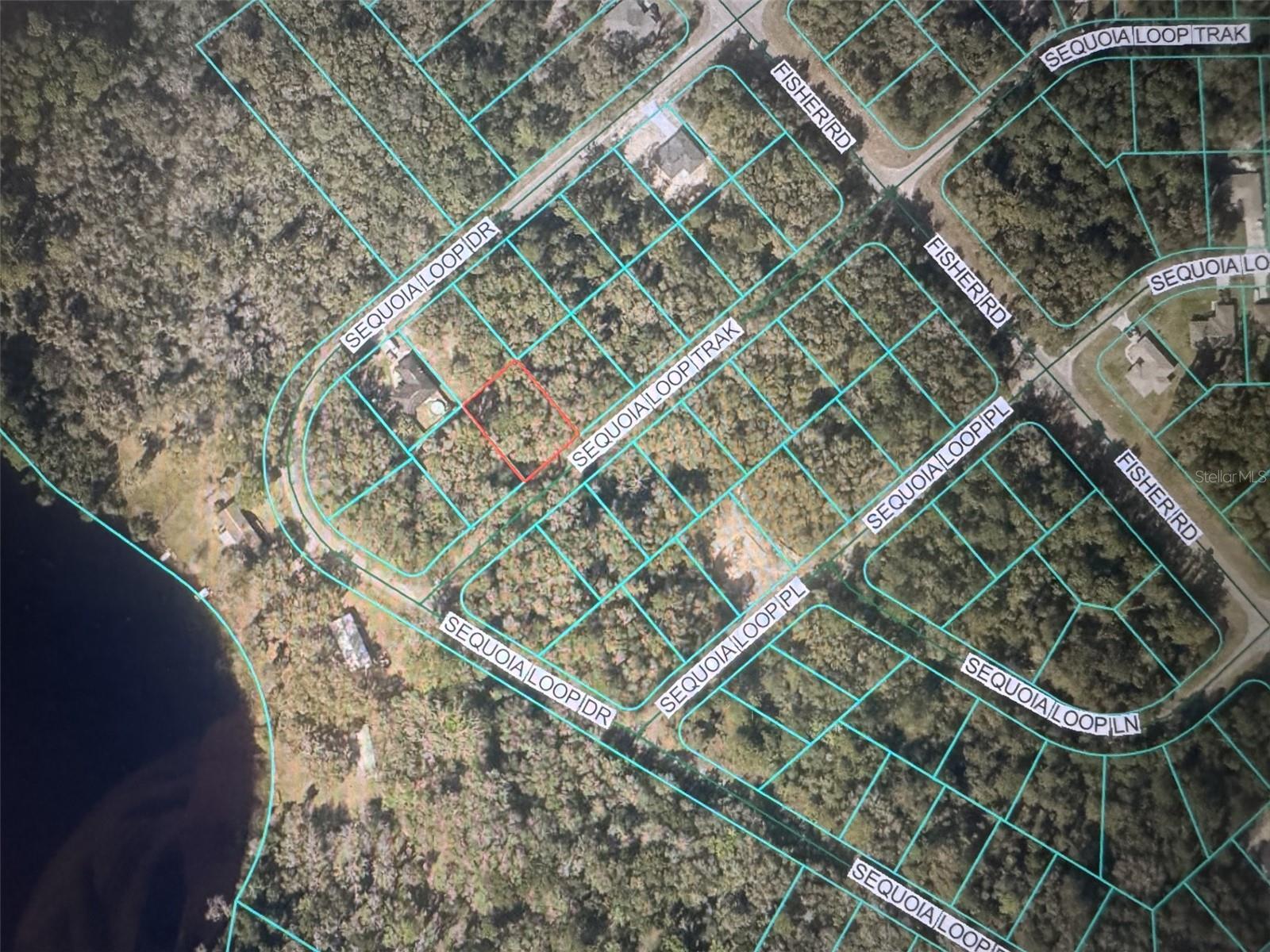 Sequoia Loop Trak Property Photo 2