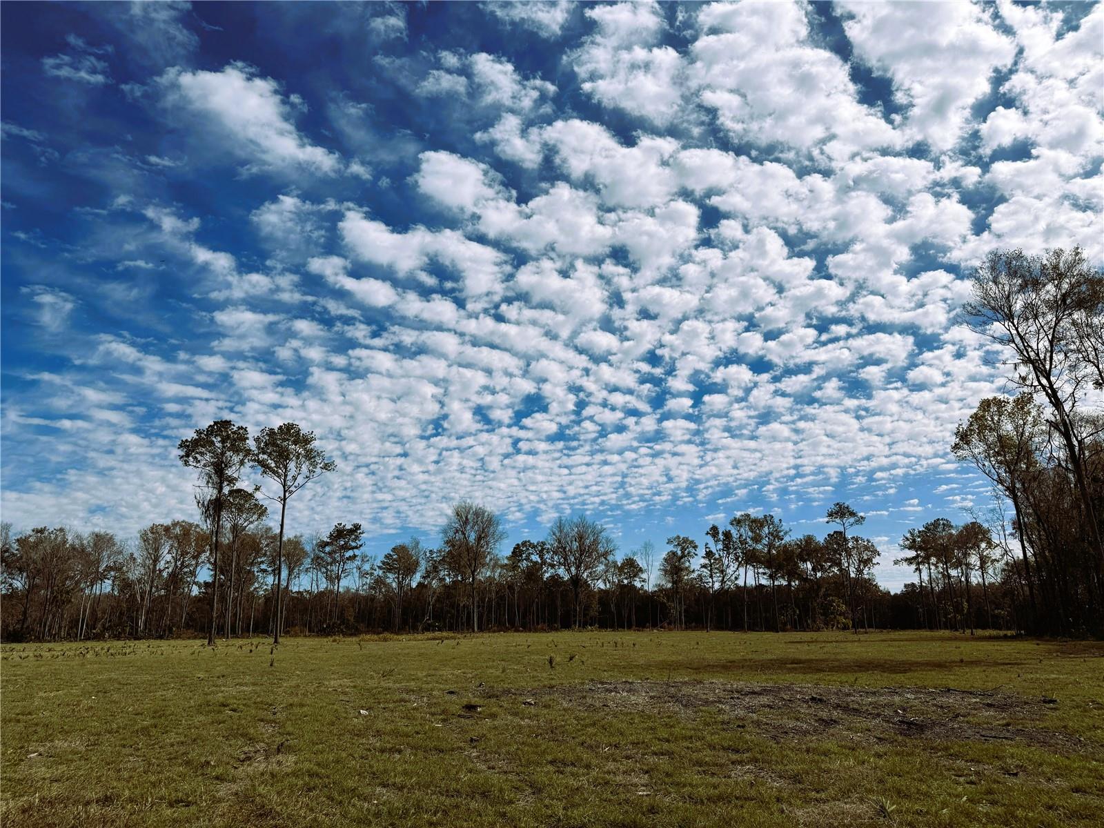 DR #3 (10ac) NW 193RD ST Property Photo 1