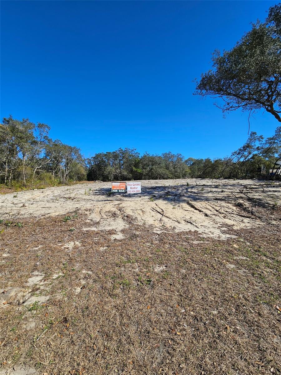 Tba Marion Oaks Blvd Property Photo 5