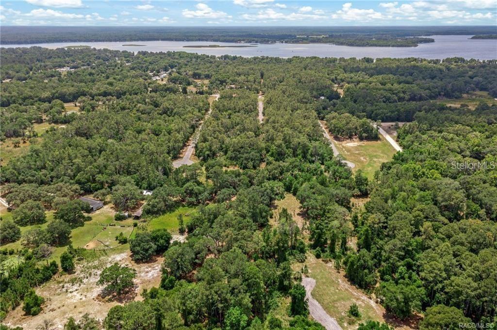11151 Hwy 40 E Property Photo 2