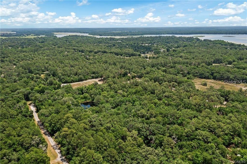 11151 Hwy 40 E Property Photo 3