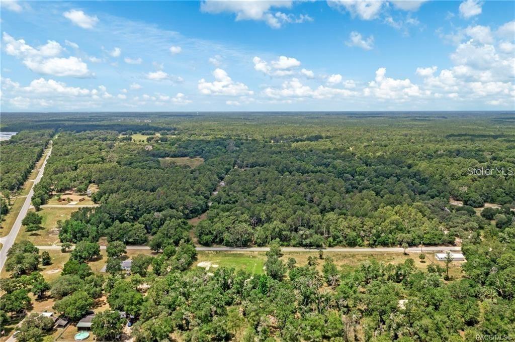 11151 Hwy 40 E Property Photo 4