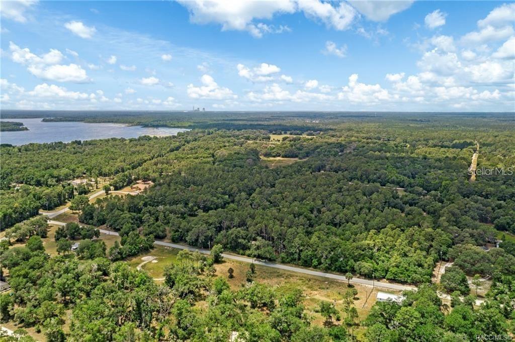 11151 Hwy 40 E Property Photo 5