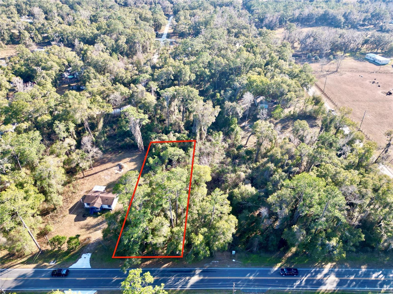 Tbd W Hwy 328 Property Photo 12