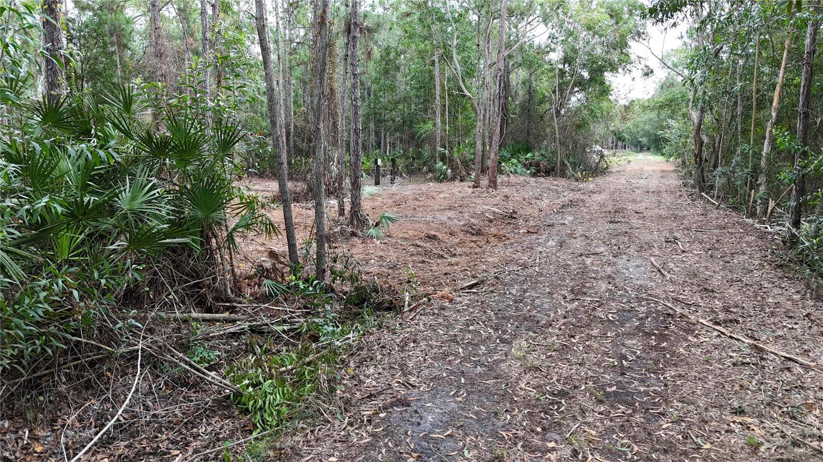 Pantera Ln Property Photo 13
