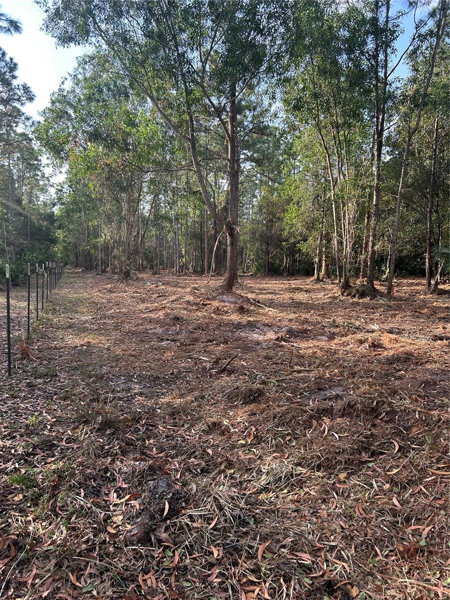 Pantera Ln Property Photo 23