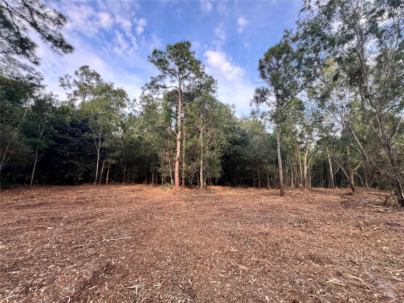 Pantera Ln Property Photo 30