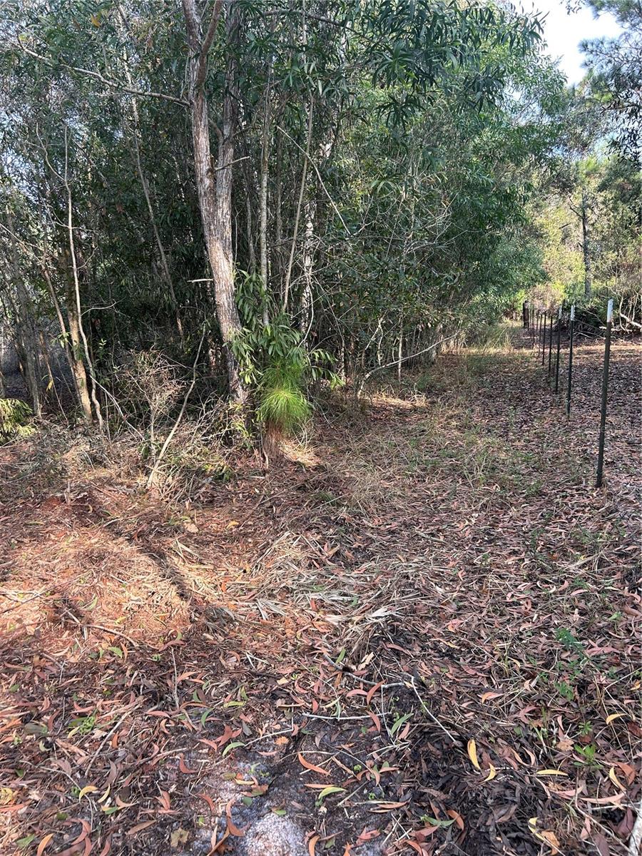 Pantera Ln Property Photo 35