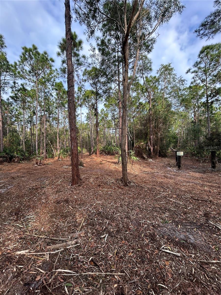 Pantera Ln Property Photo 38