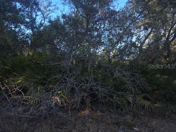 Malauka Pass Crse Property Photo 4