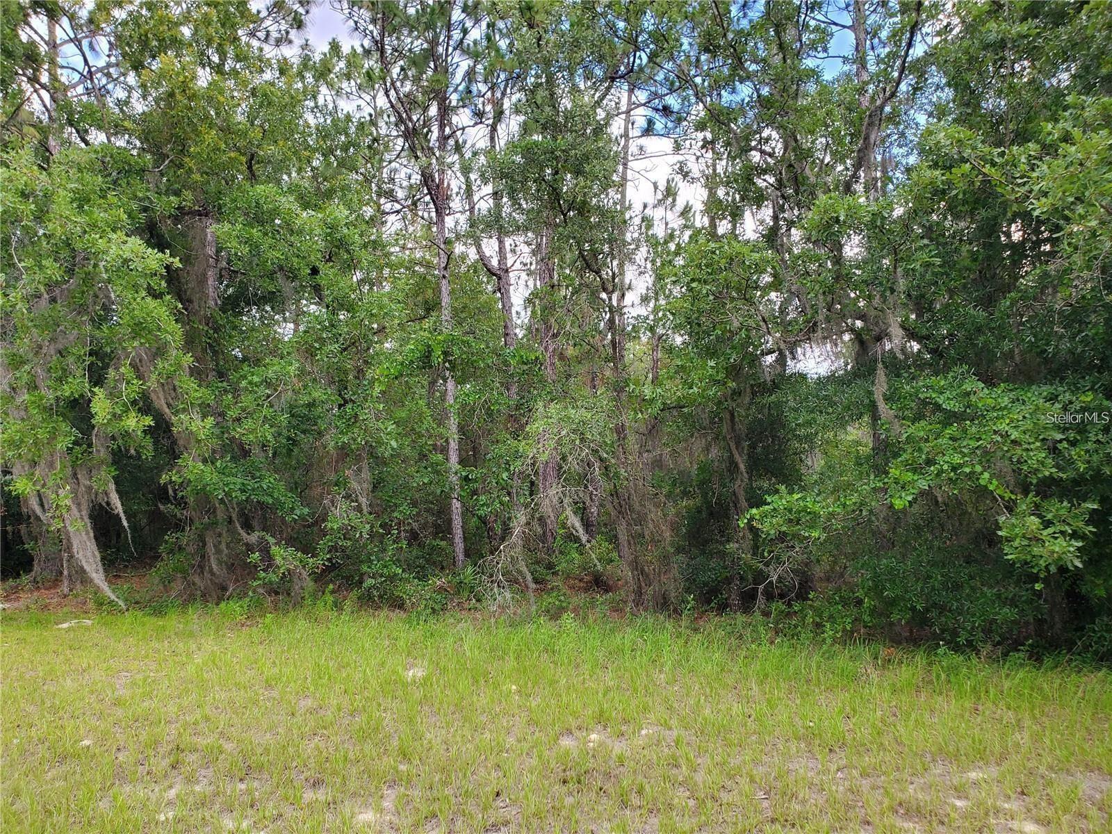8650 Sw 138 Ln Property Photo 4