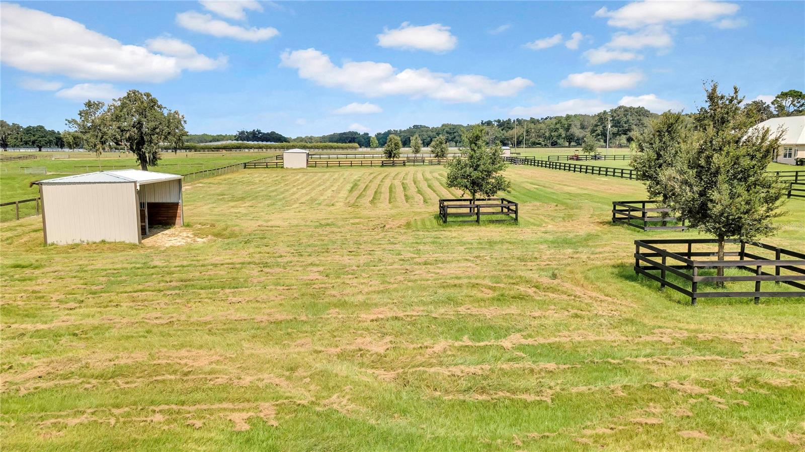 12000 S Highway 475 Property Photo 45