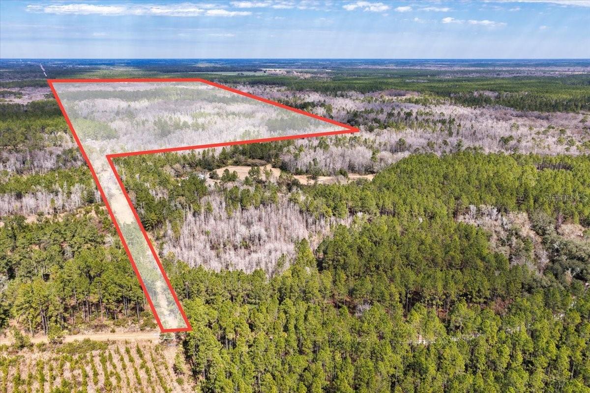 60 Acres Nw Clyatt Road Property Photo 1