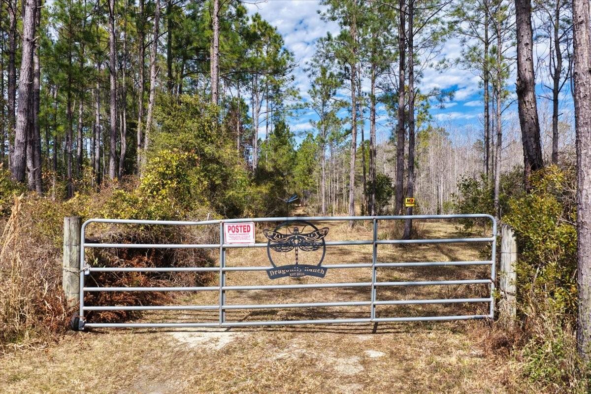 60 Acres Nw Clyatt Road Property Photo 2
