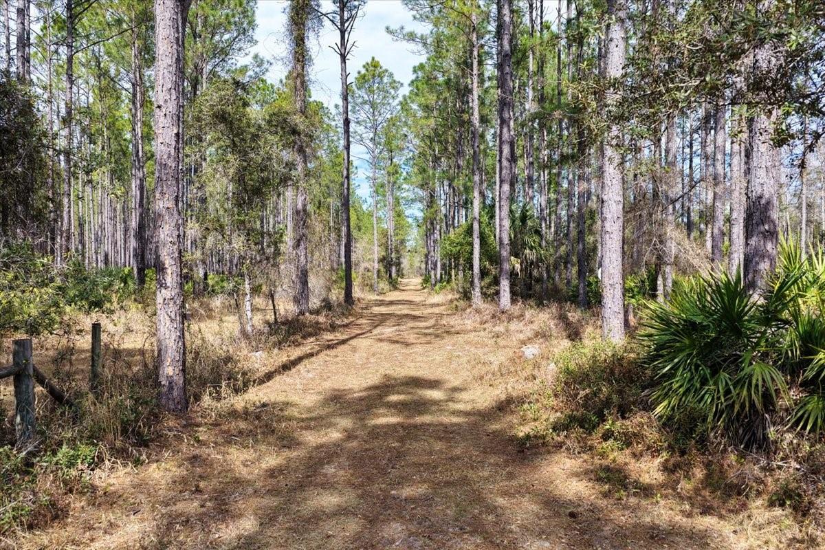 60 Acres Nw Clyatt Road Property Photo 3