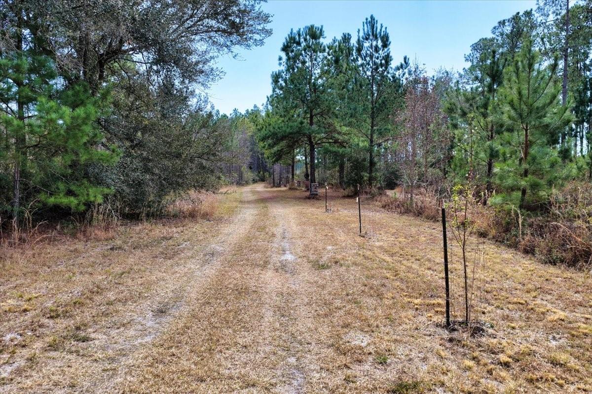 60 Acres Nw Clyatt Road Property Photo 4