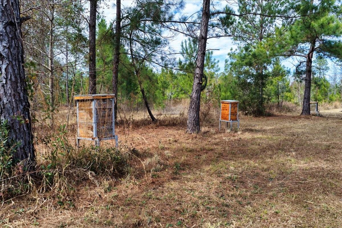60 Acres Nw Clyatt Road Property Photo 7