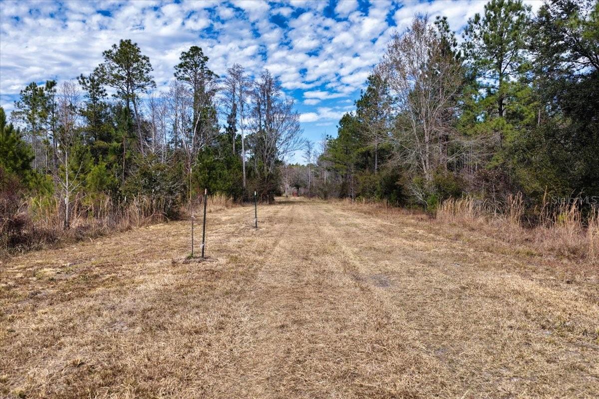 60 Acres Nw Clyatt Road Property Photo 8