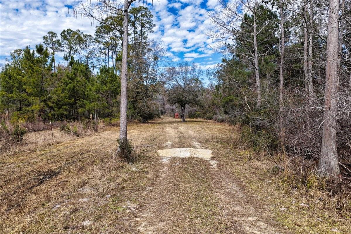 60 Acres Nw Clyatt Road Property Photo 9