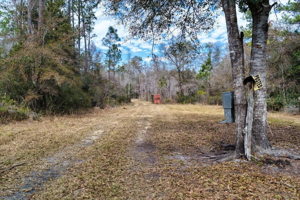 60 Acres Nw Clyatt Road Property Photo 10