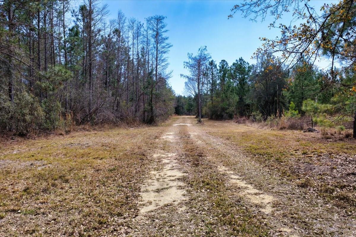 60 Acres Nw Clyatt Road Property Photo 11