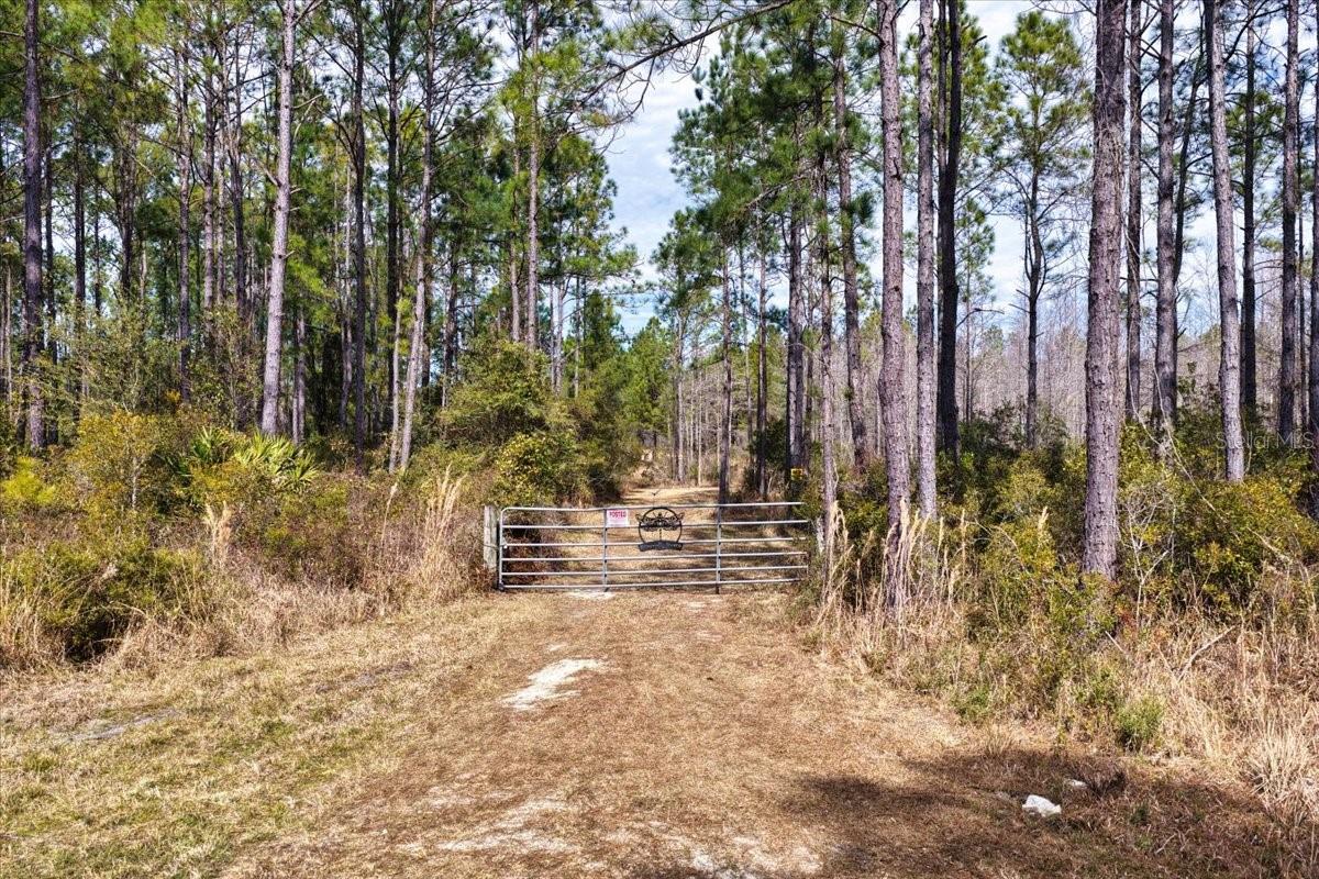 60 Acres Nw Clyatt Road Property Photo 13