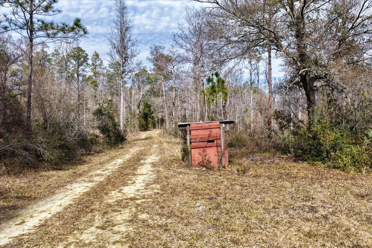 60 Acres Nw Clyatt Road Property Photo 14