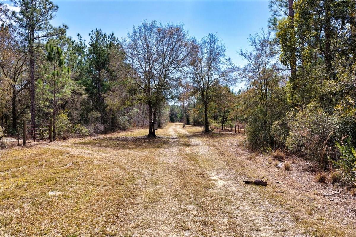 60 Acres Nw Clyatt Road Property Photo 15