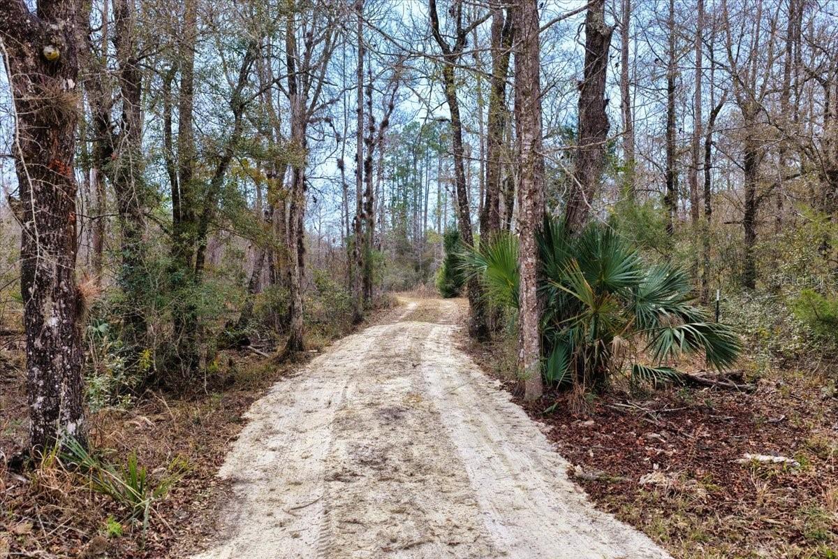 60 Acres Nw Clyatt Road Property Photo 16