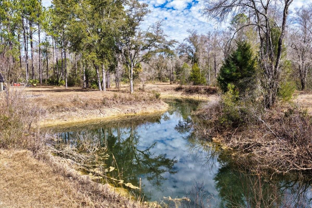 60 Acres Nw Clyatt Road Property Photo 18