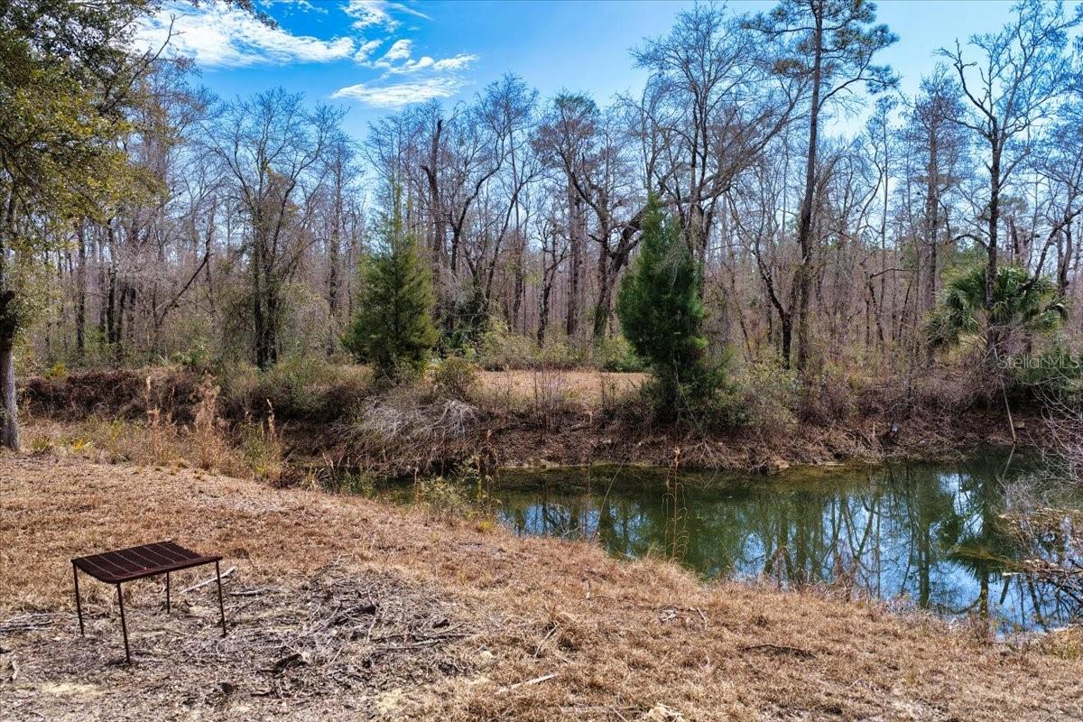 60 Acres Nw Clyatt Road Property Photo 21