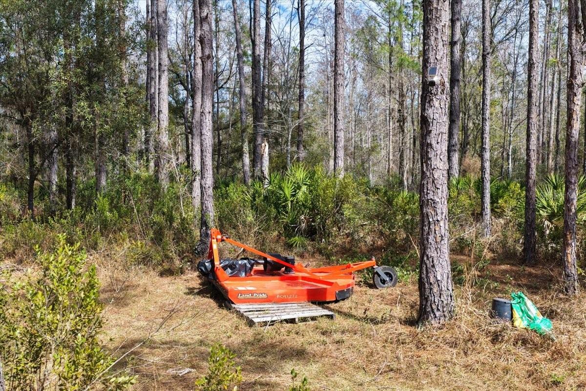 60 Acres Nw Clyatt Road Property Photo 29