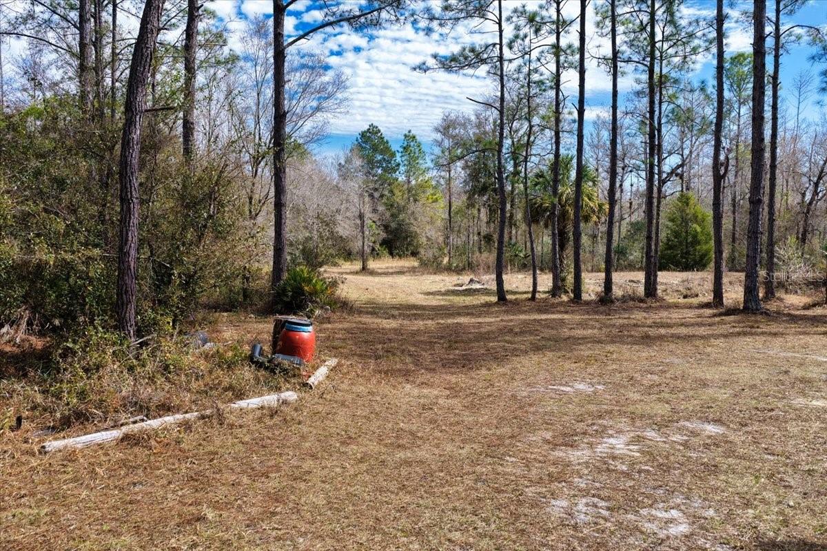 60 Acres Nw Clyatt Road Property Photo 30