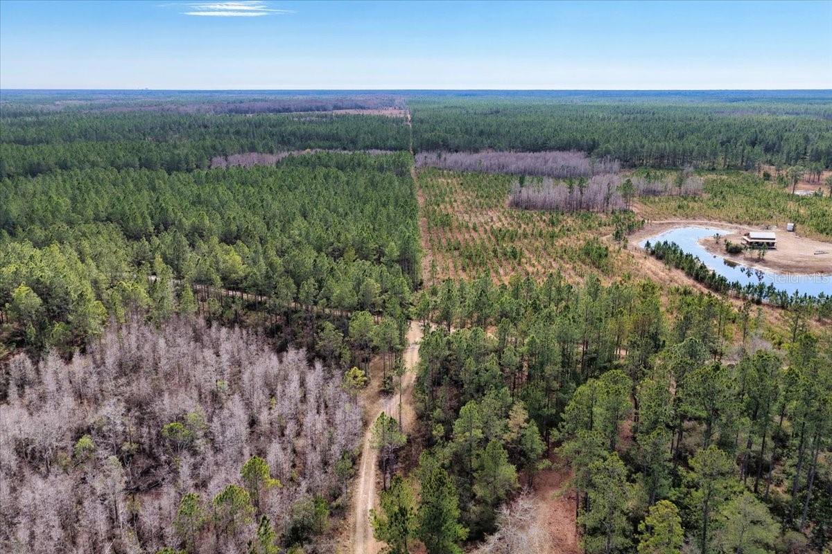 60 Acres Nw Clyatt Road Property Photo 39