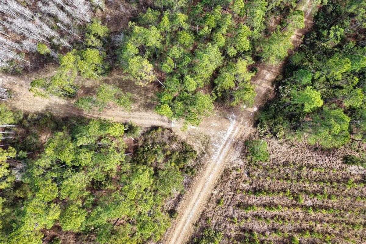 60 Acres Nw Clyatt Road Property Photo 40
