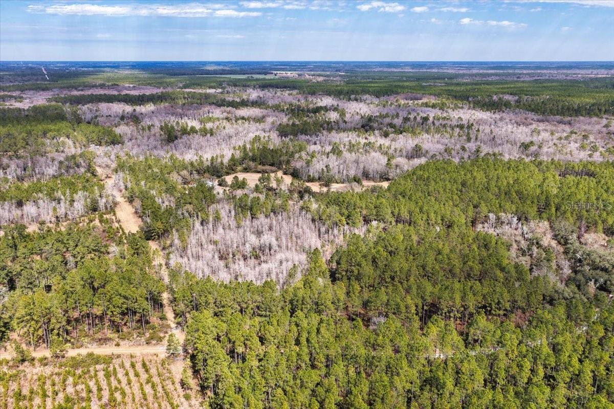 60 Acres Nw Clyatt Road Property Photo 41