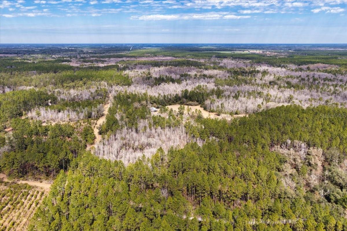 60 Acres Nw Clyatt Road Property Photo 42