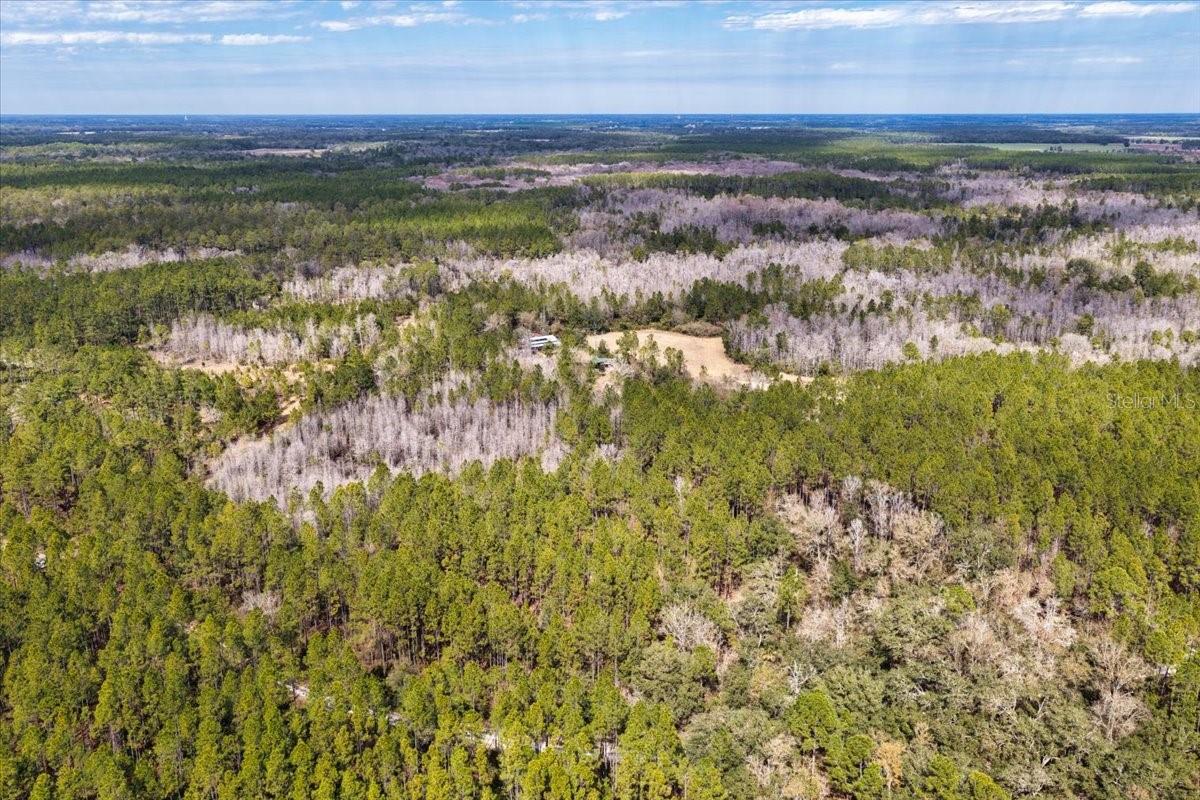 60 Acres Nw Clyatt Road Property Photo 43