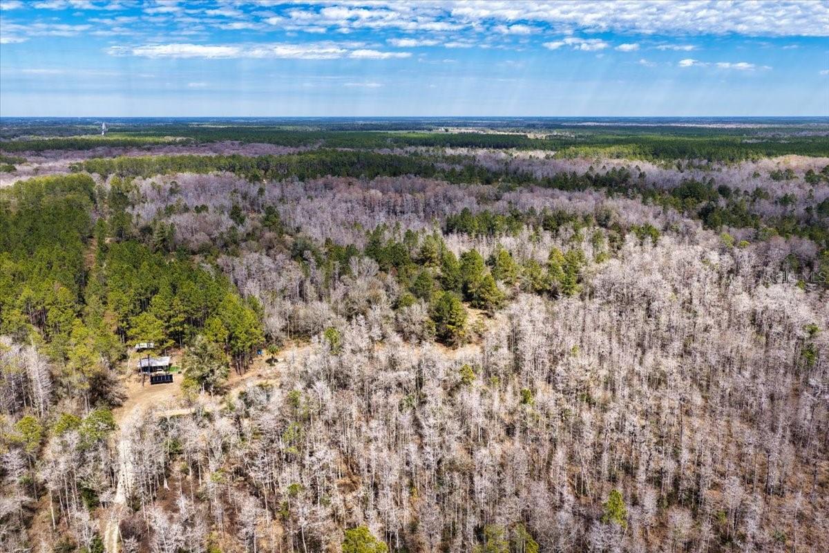 60 Acres Nw Clyatt Road Property Photo 45
