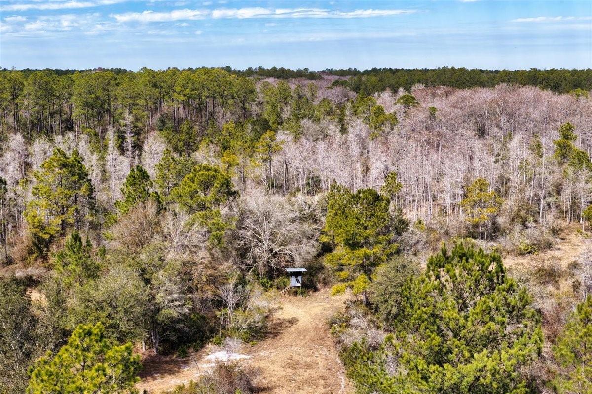 60 Acres Nw Clyatt Road Property Photo 47