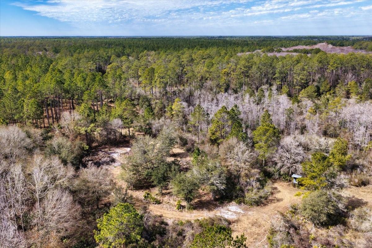 60 Acres Nw Clyatt Road Property Photo 48