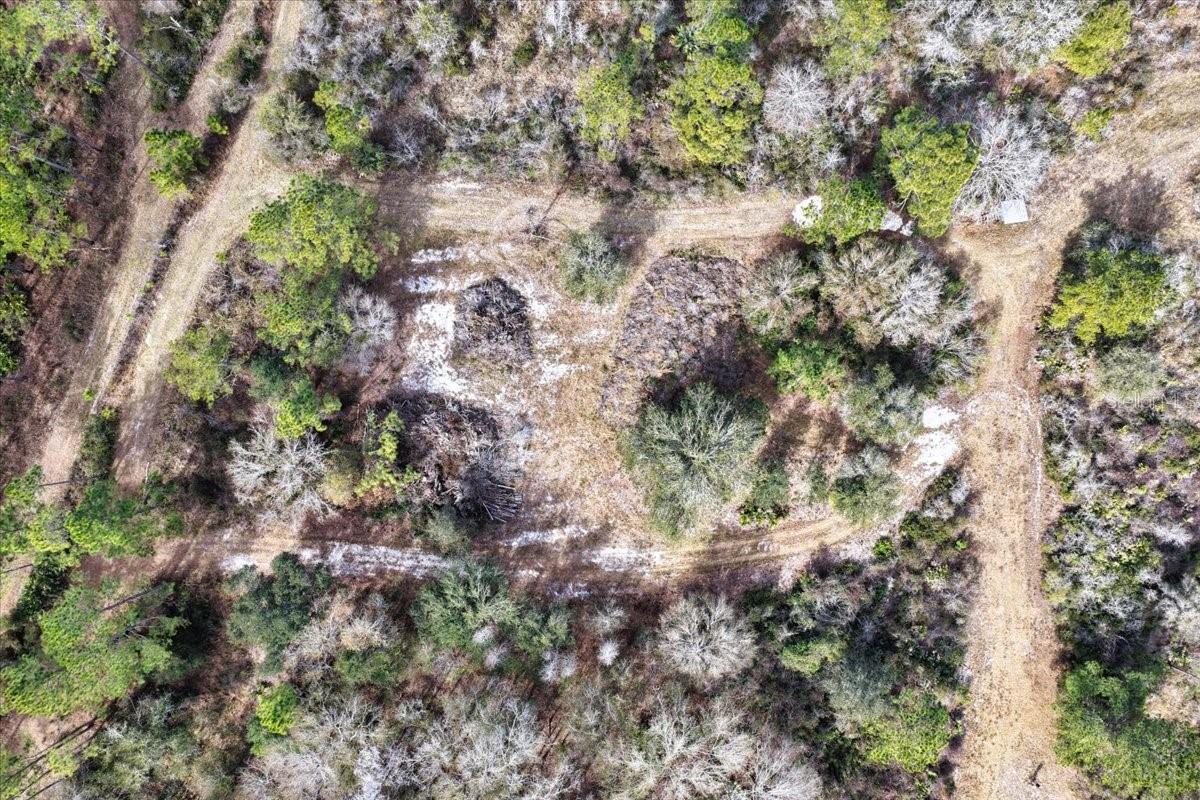 60 Acres Nw Clyatt Road Property Photo 50