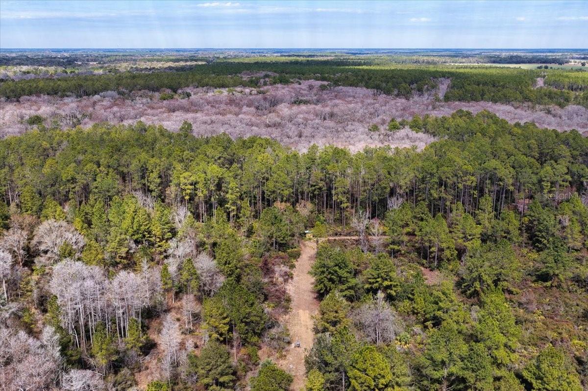 60 Acres Nw Clyatt Road Property Photo 51