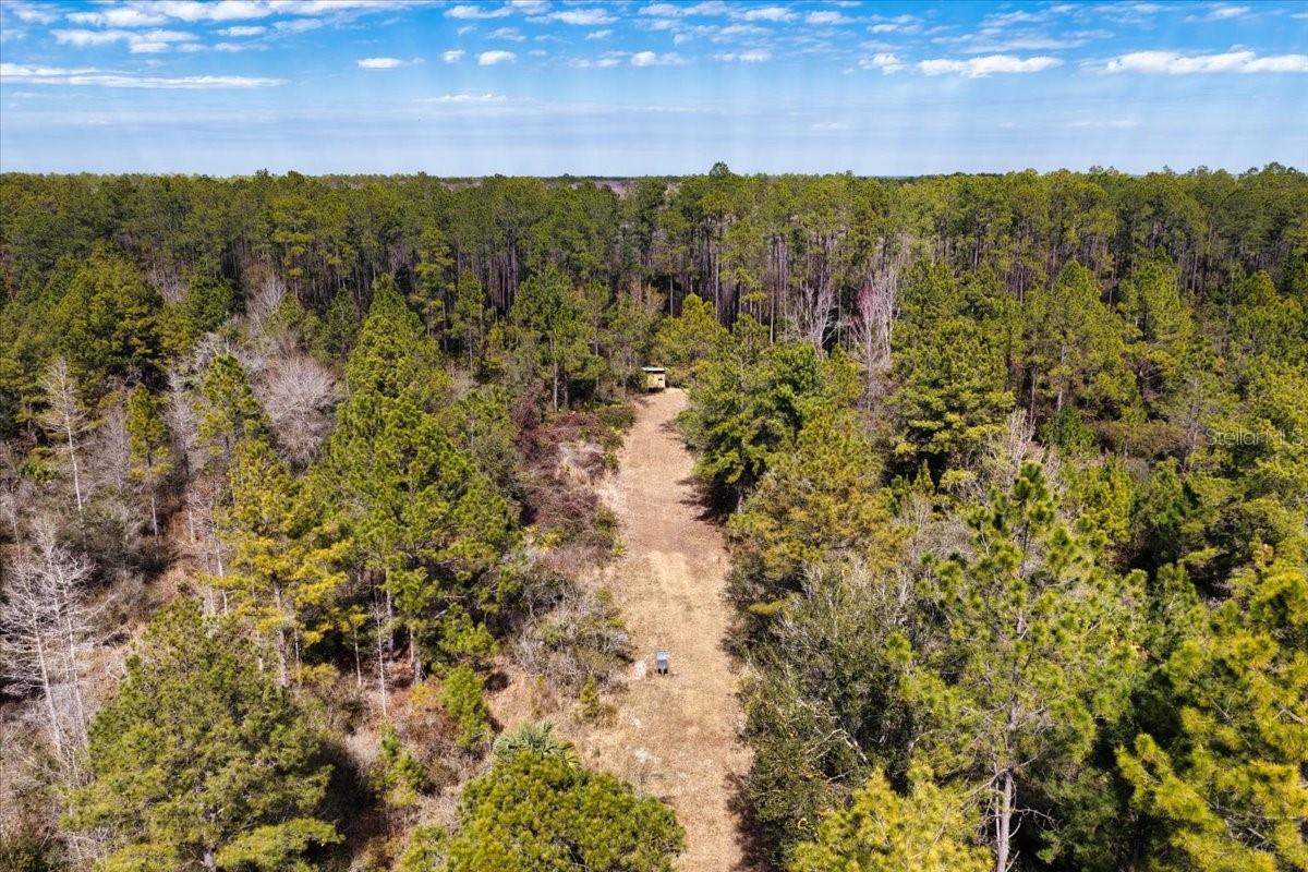 60 Acres Nw Clyatt Road Property Photo 52
