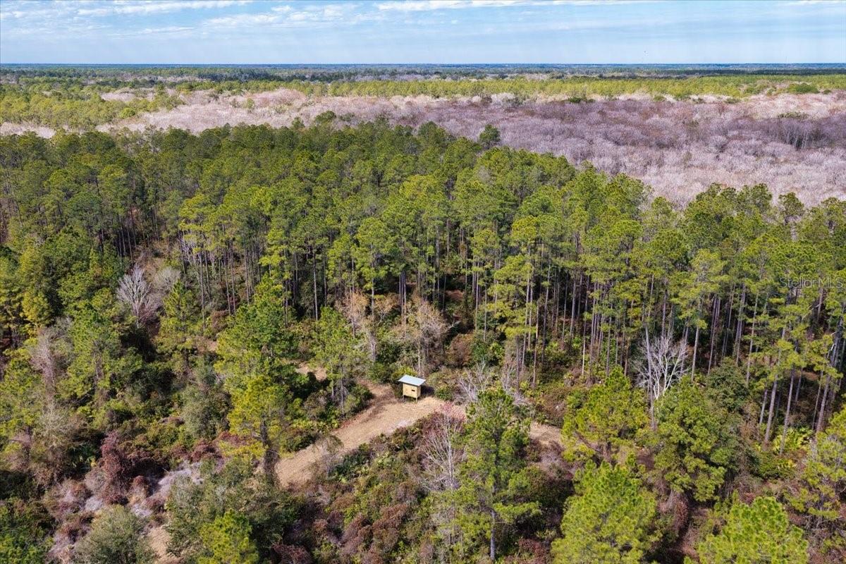 60 Acres Nw Clyatt Road Property Photo 53