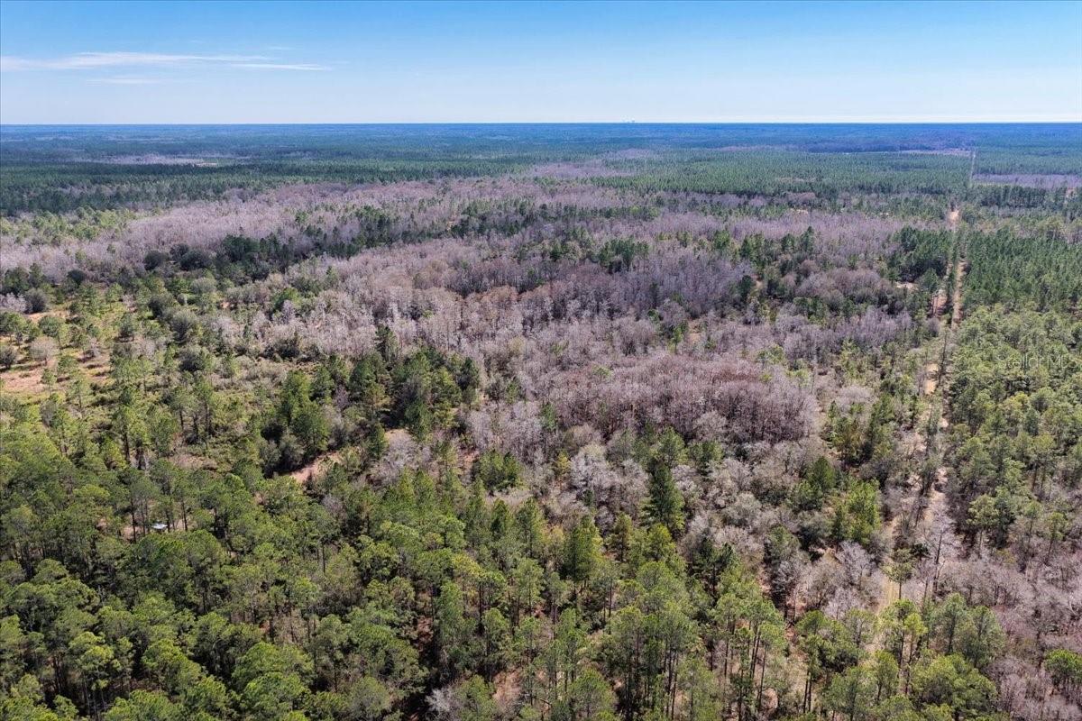 60 Acres Nw Clyatt Road Property Photo 54