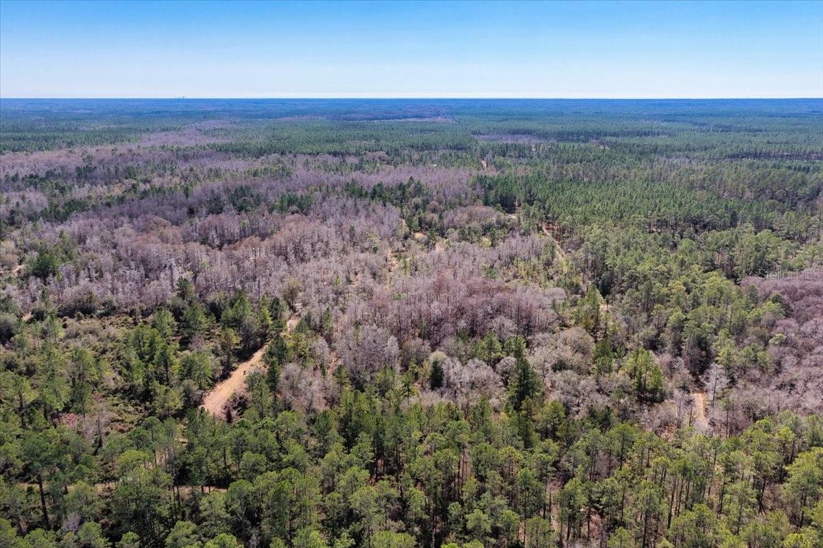 60 Acres Nw Clyatt Road Property Photo 55